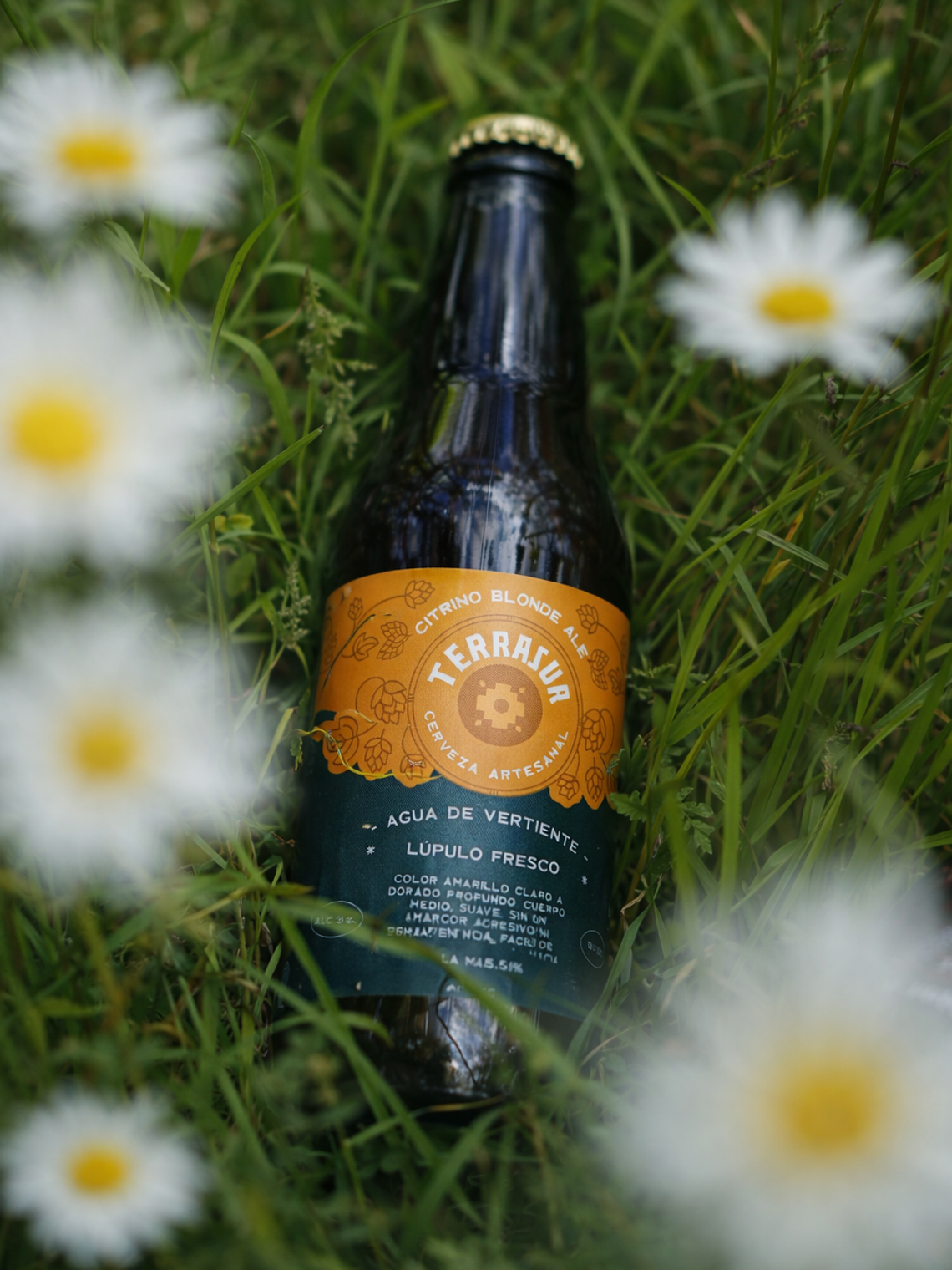 Blonde Ale Terrasur 330 cc Pack 12 3