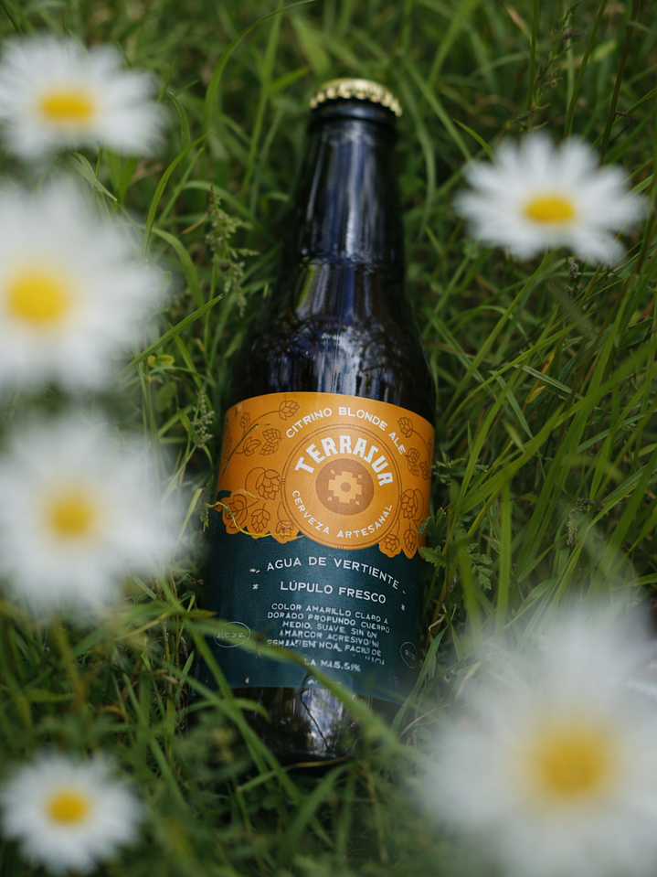 Blonde Ale Terrasur 330 cc Pack 12 3