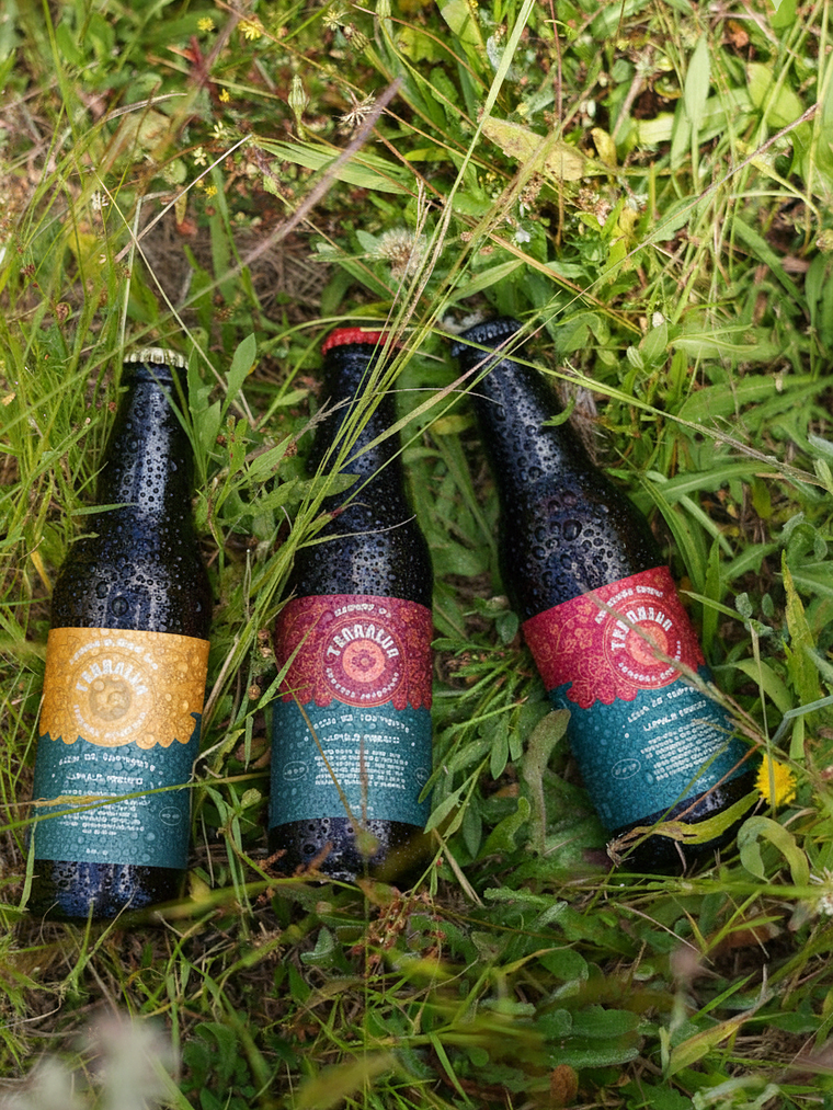 Tri Pack Terrasur 330 cc 3