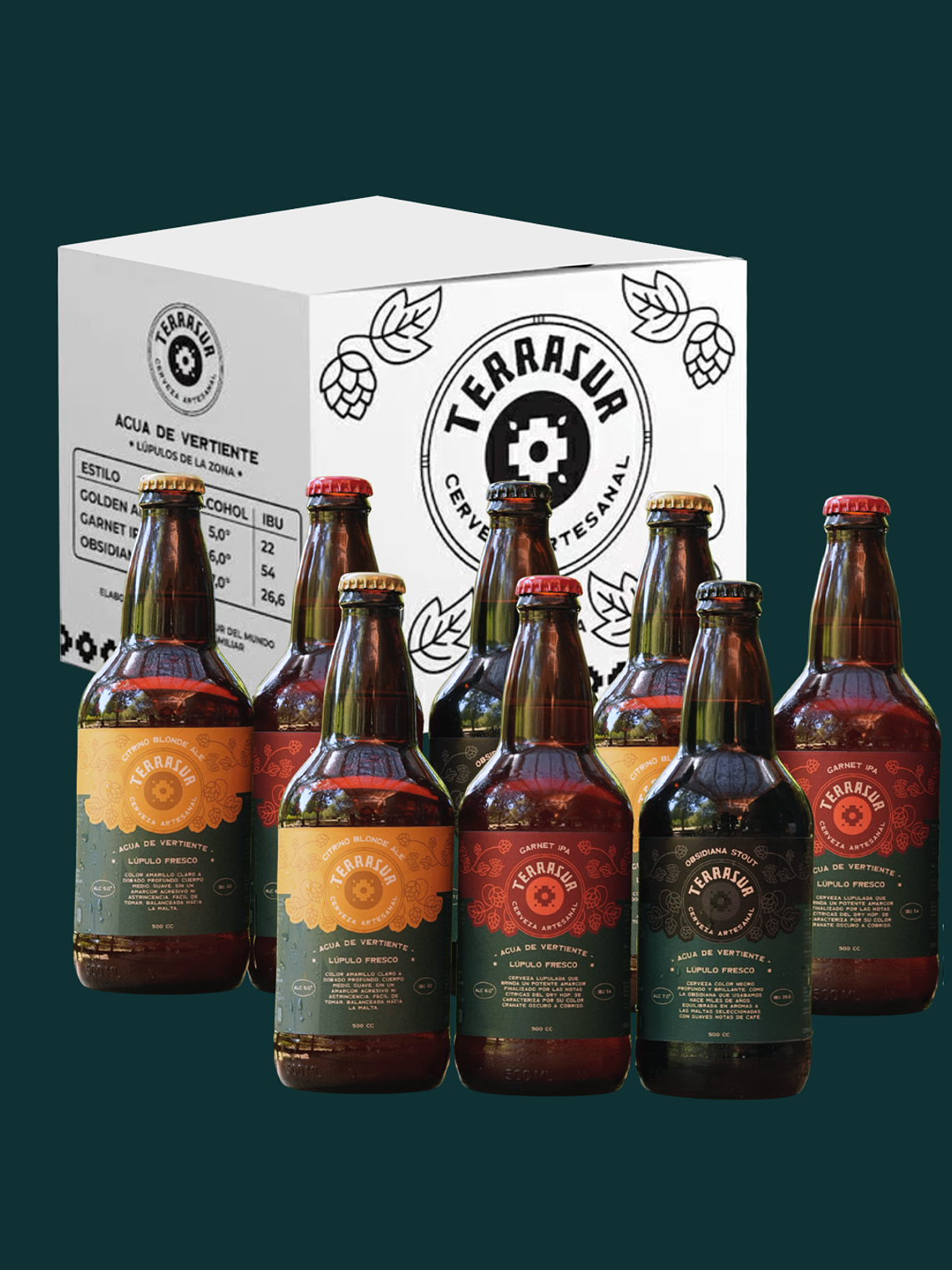 Caja surtida 8 Cervezas Terrasur 500 cc 1