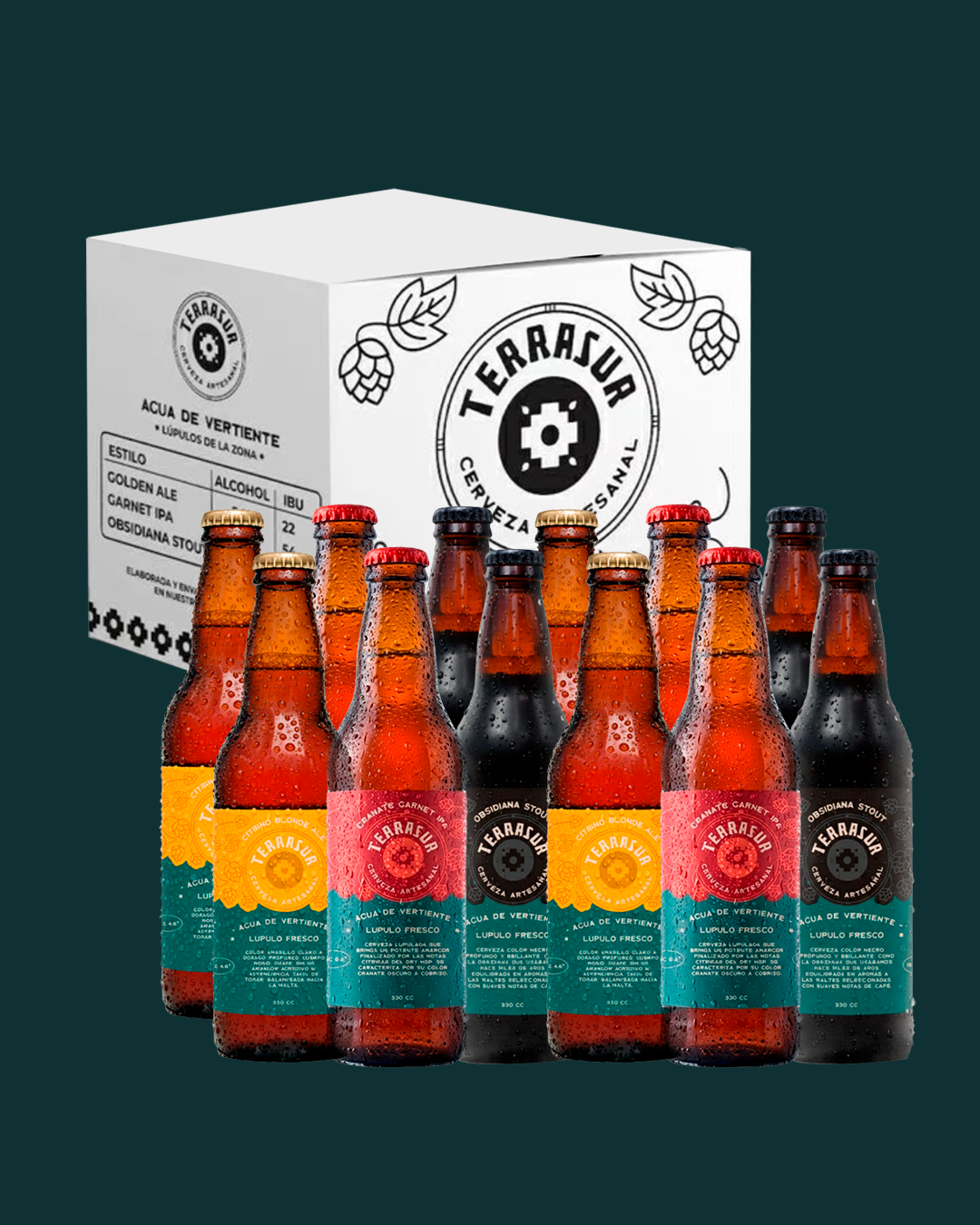 Caja surtida 12 Cervezas Terrasur 330 cc