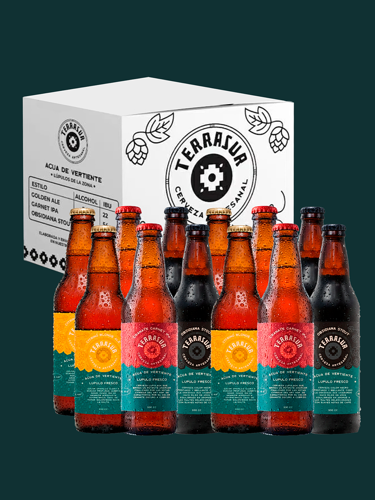 Caja surtida 12 Cervezas Terrasur 330 cc 1