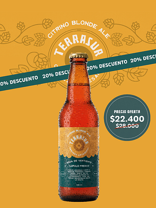 Cerveza Blonde Ale Terrasur 330 cc Pack 12