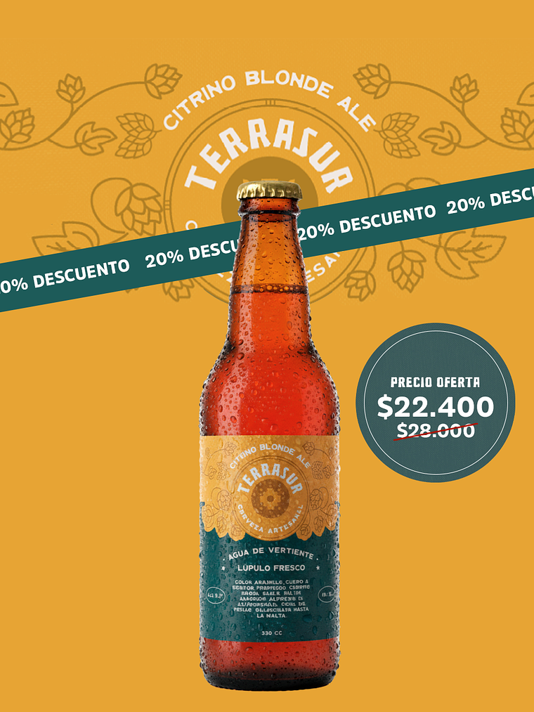 Cerveza Blonde Ale Terrasur 330 cc Pack 12 1