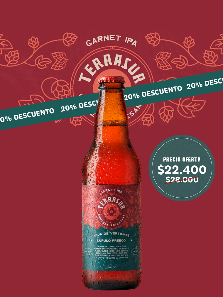 Cerveza IPA Terrasur 330 cc Pack 12 1