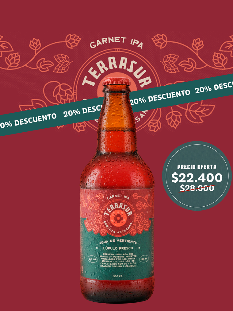 Cerveza IPA Terrasur 500 cc Pack 8 1