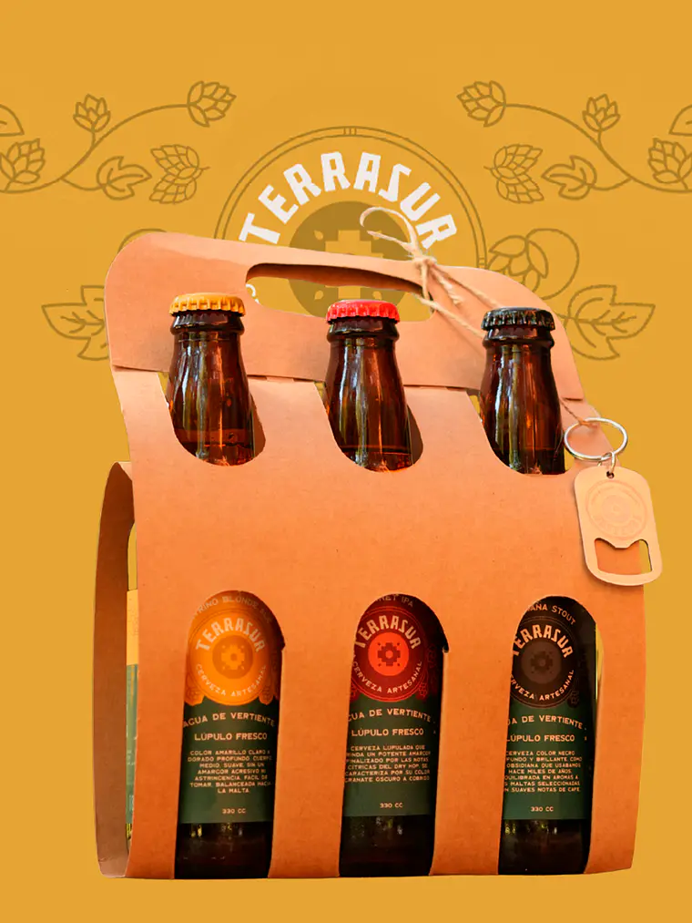 Tri Pack Cerveza Terrasur 330 cc 1