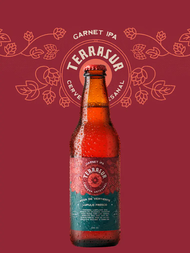 Cerveza IPA Terrasur 330 cc Pack 12 1