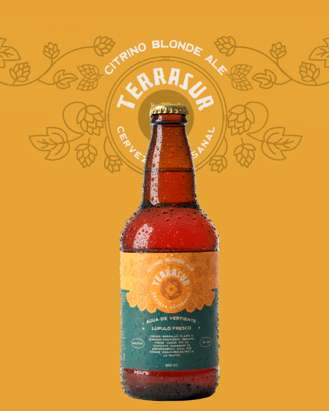 Cerveza Blonde Ale Terrasur 500 cc Pack 8