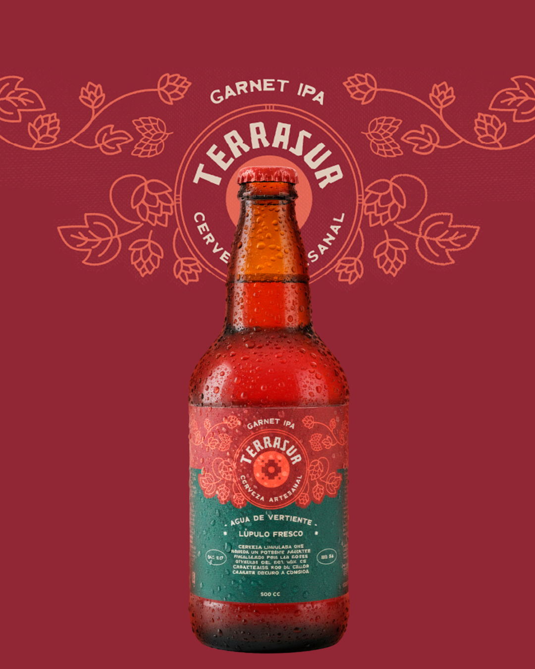 Cerveza IPA Terrasur 500 cc Pack 8