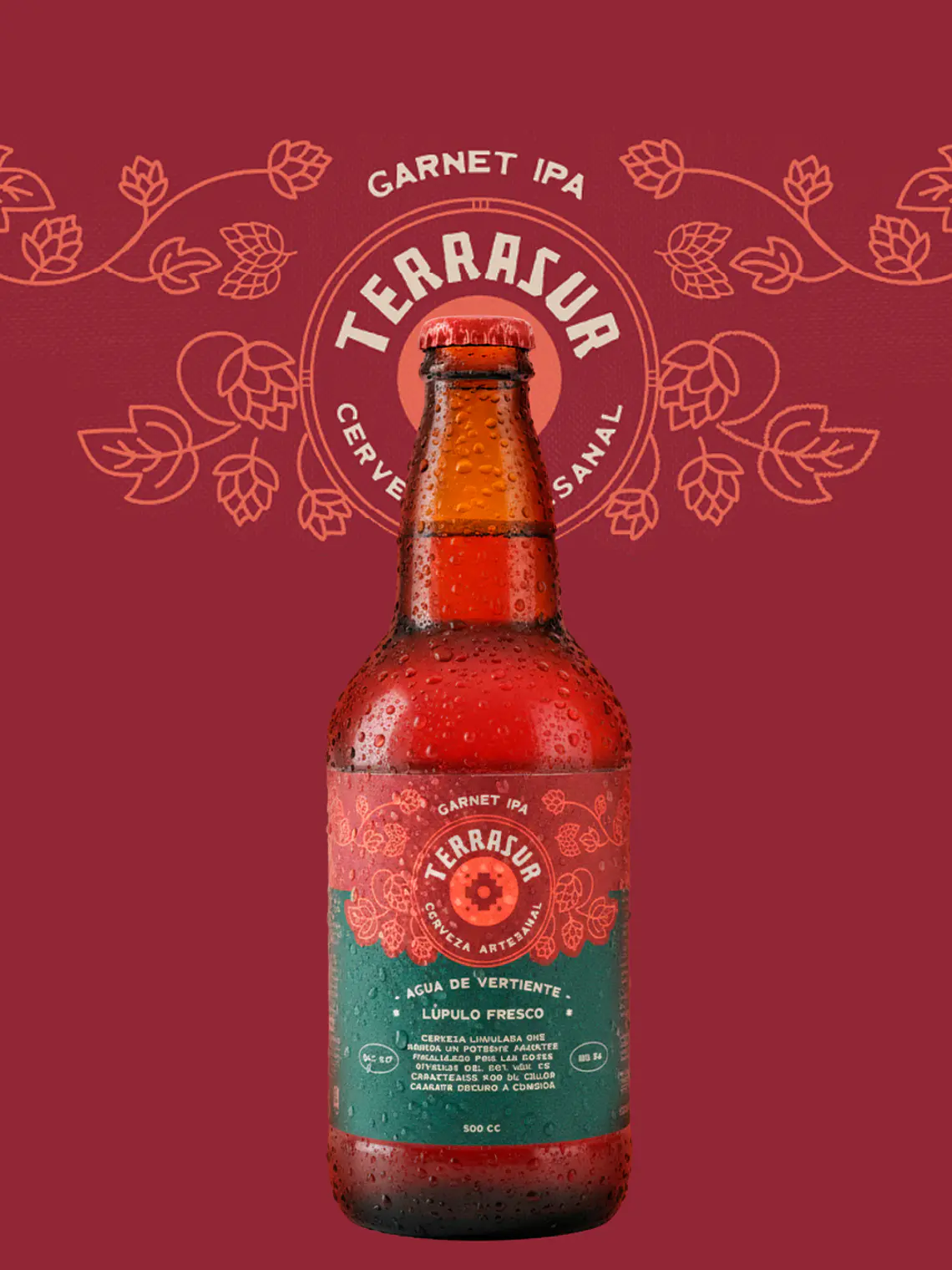 Cerveza IPA Terrasur 500 cc Pack 8 1