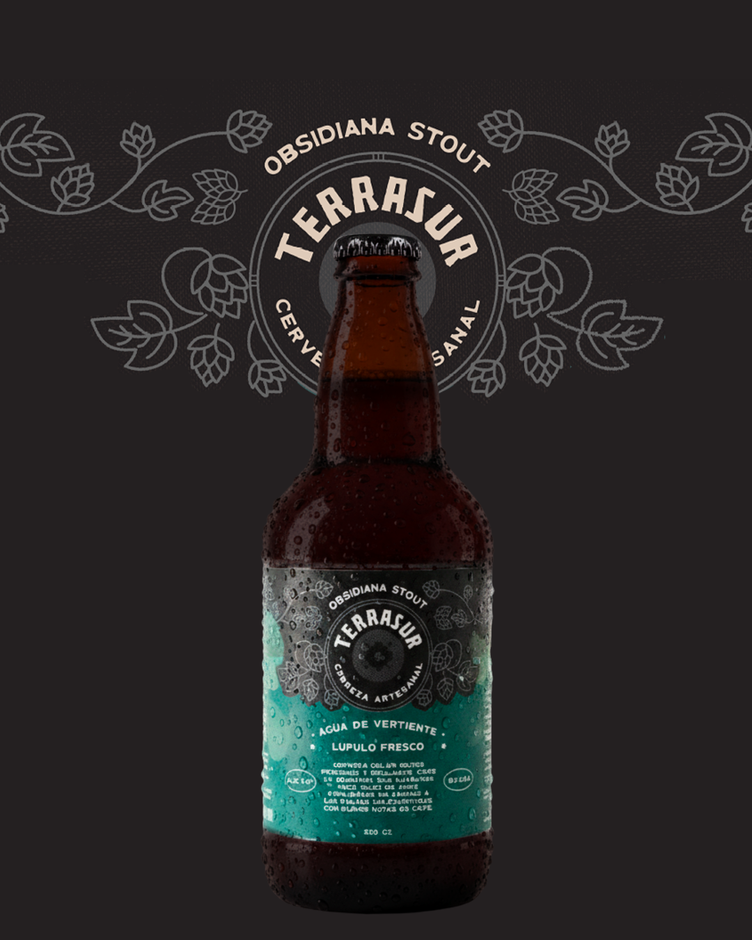 Cerveza Stout Terrasur 500 cc Pack 8