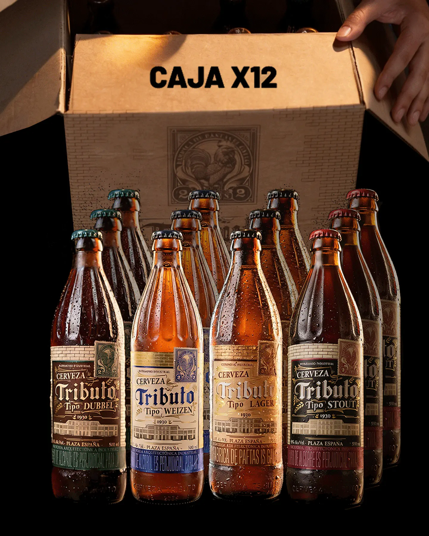 Caja x12 - Botellas surtidas 1