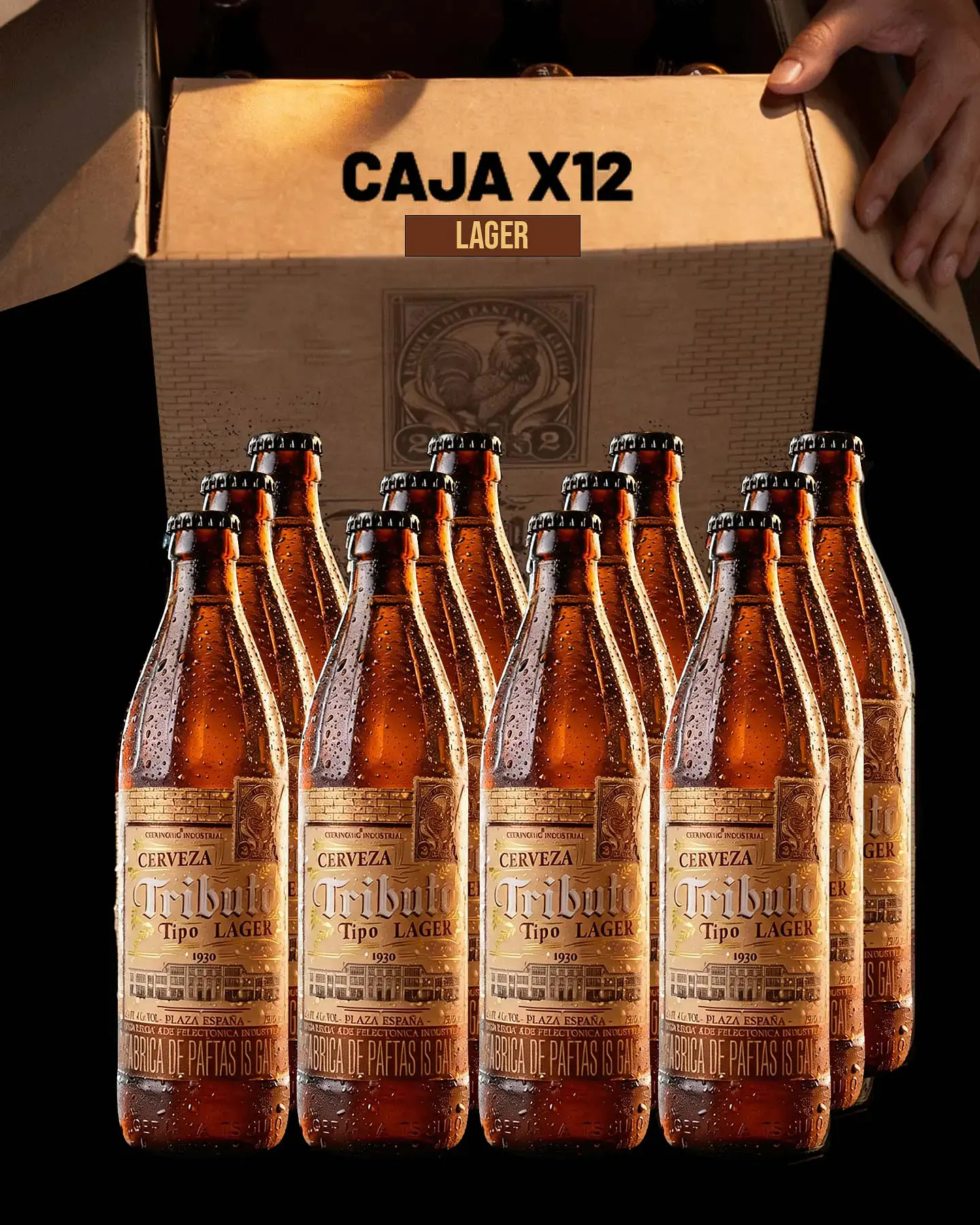 Caja x12 - Botellas LAGER 1