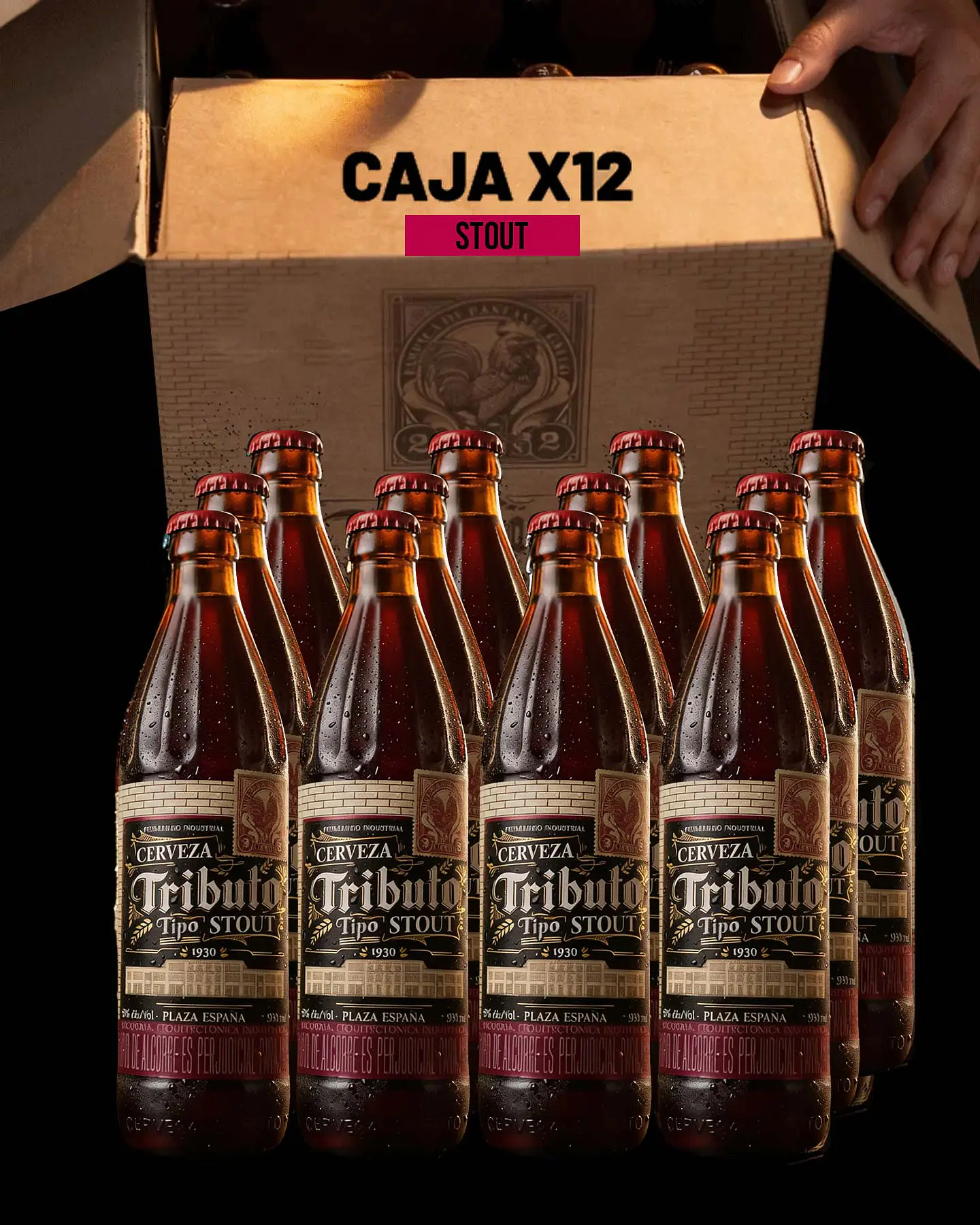 Caja x12 - Botellas STOUT 1