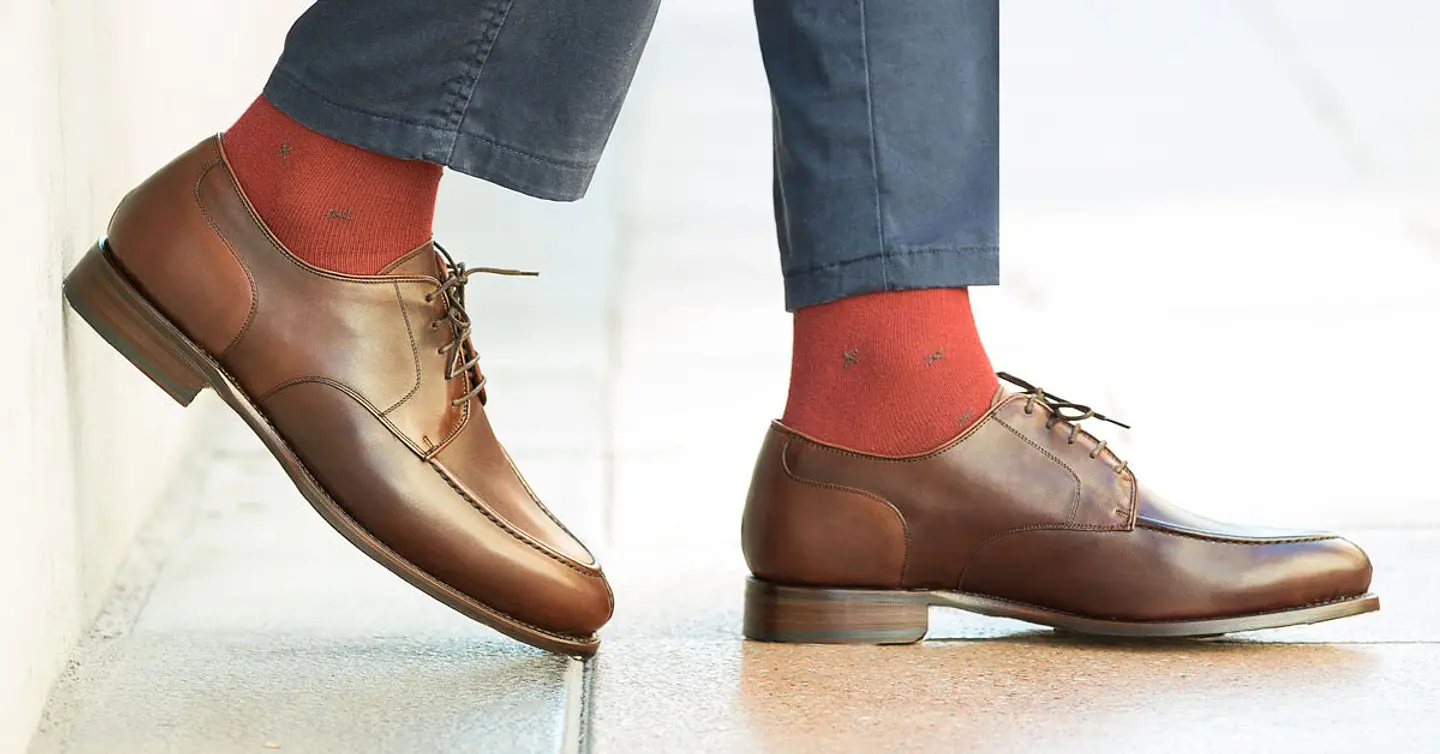 Descubre las novedades