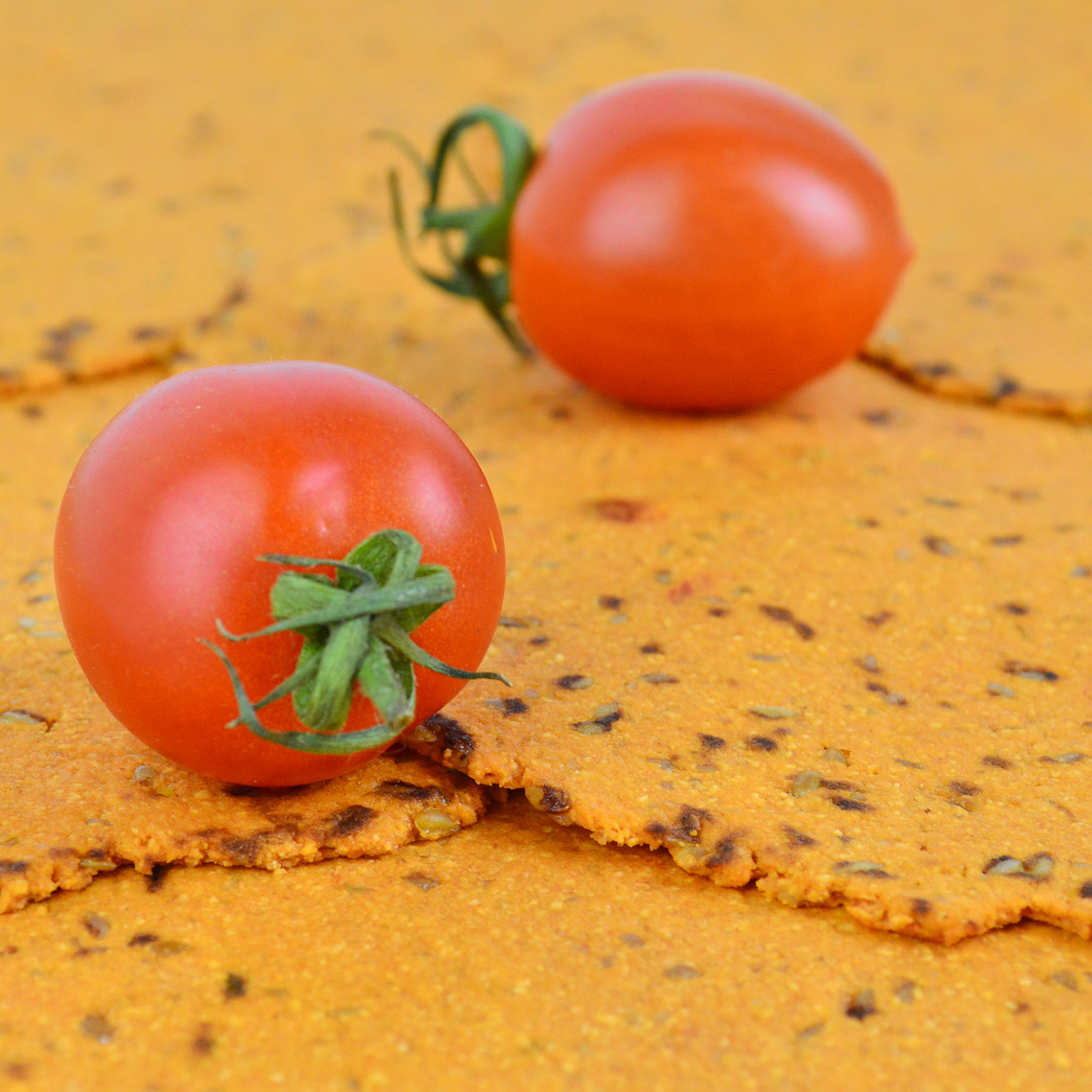 Cetortillas Mediterráneas XL 4