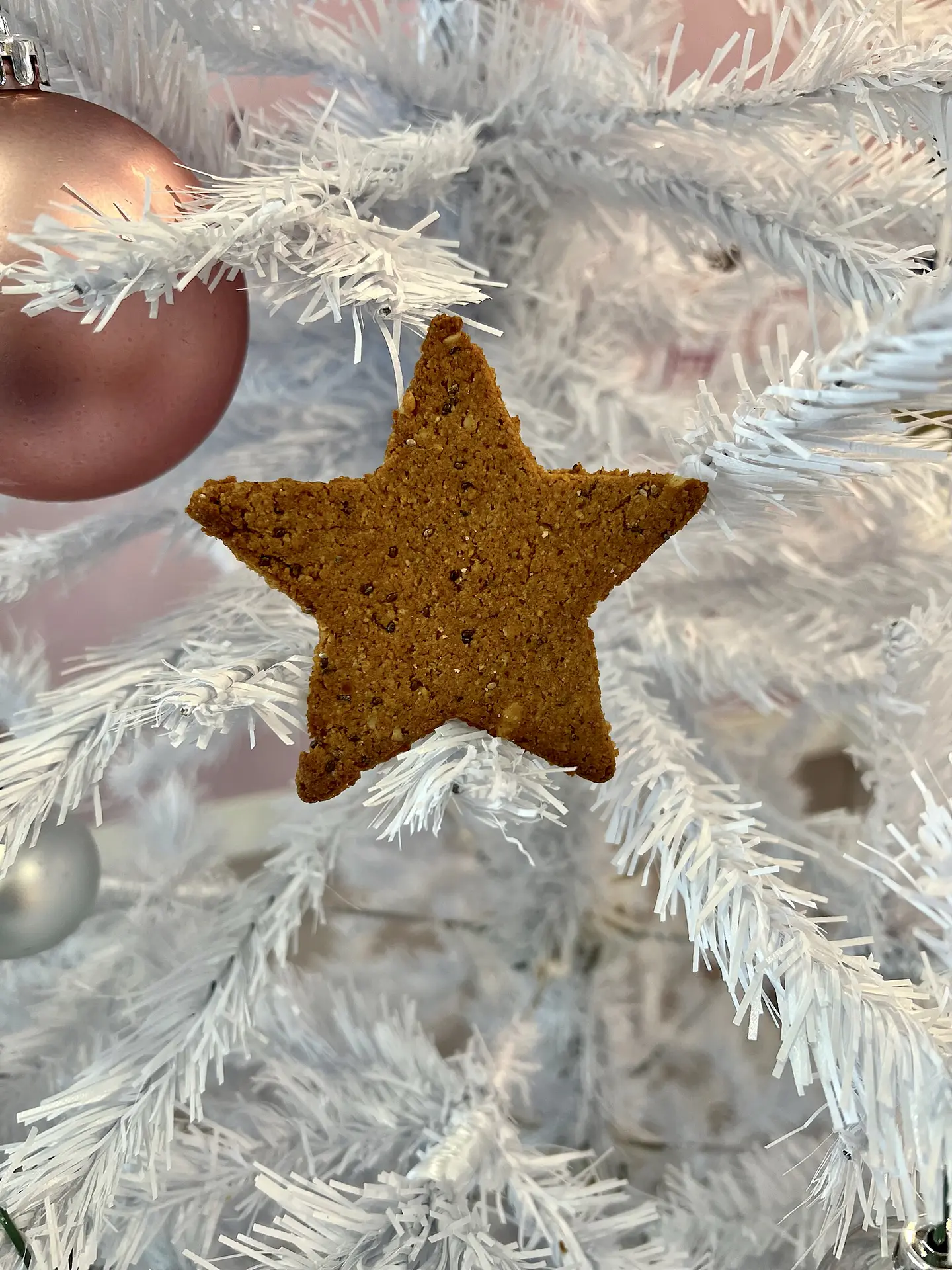 Galletas de Jengibre Sin Lacteos 3