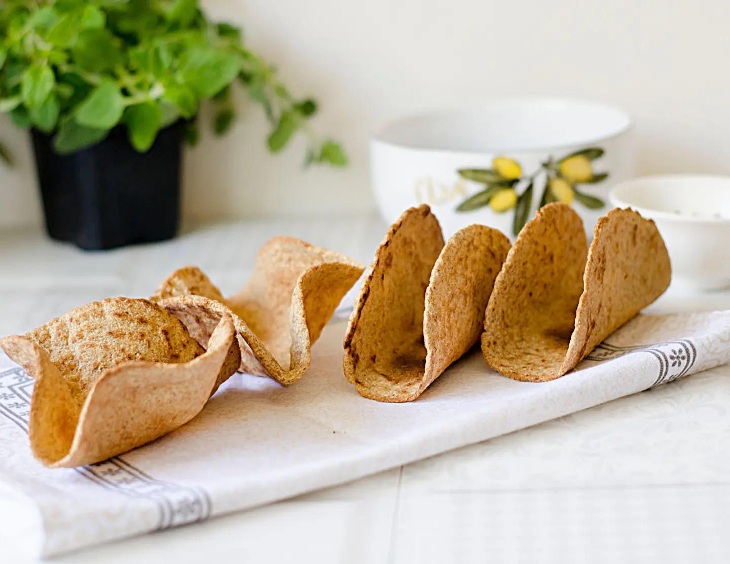 Cetortilla Tradicional  3