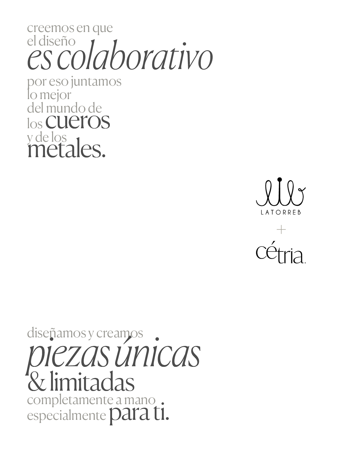 Hebilla Sello _ Negro Avestruz 4