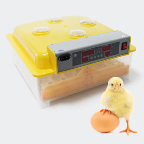 Chocadeira automática 48 ovos