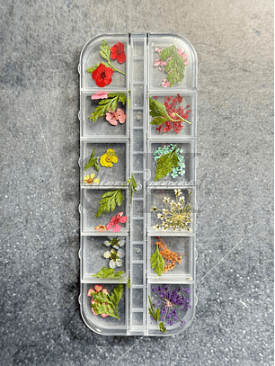 Naturaleza muerta modelo D-A