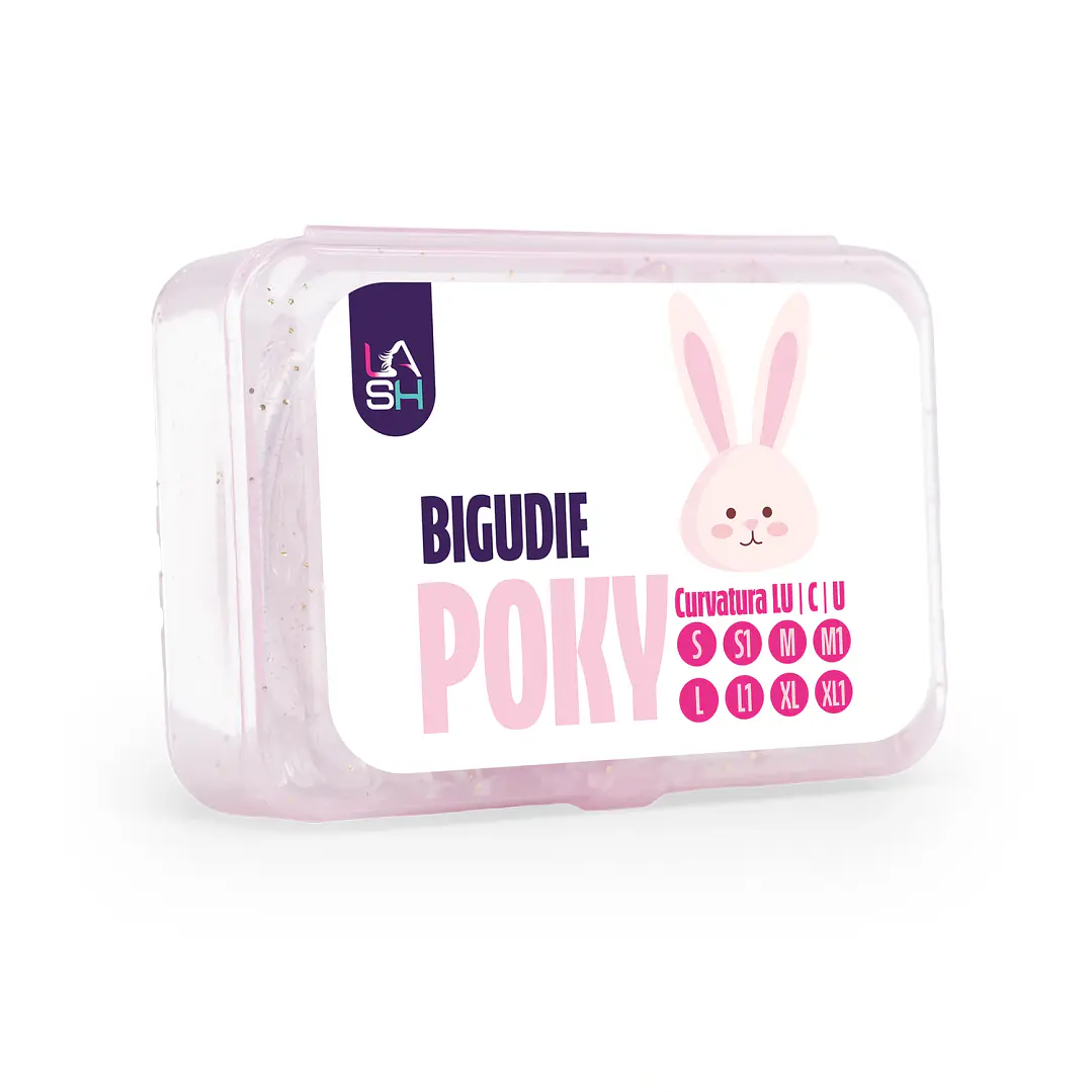 Bigudie poky  1