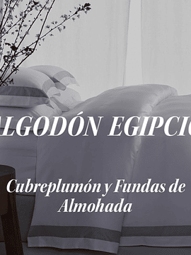 Juego de Cubreplumón Algodón Egipcio Elisa 