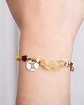 Pulseras Signos del zodiaco 