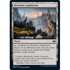 Terrenos expansivos / EX