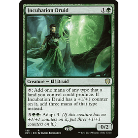 Incubation Druid / NM