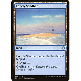 Lonely Sandbar / NM