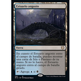 Estuario angosto / NM