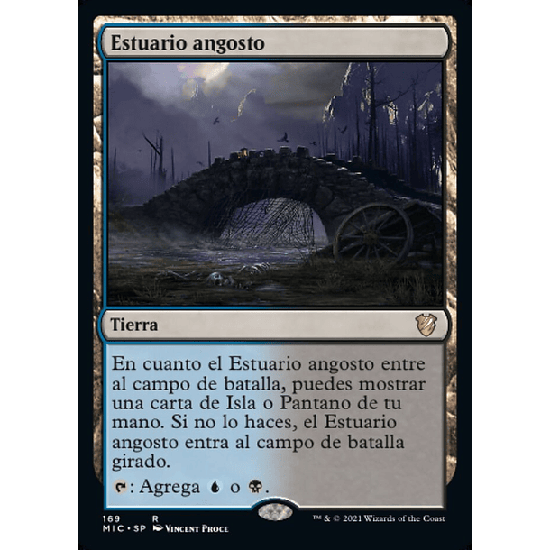 Estuario angosto / NM