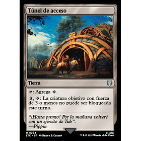 Túnel de acceso / NM