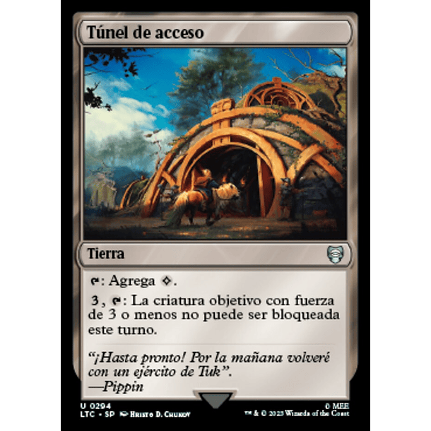 Túnel de acceso / NM