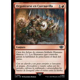 Organizarse en Cuernavilla / NM