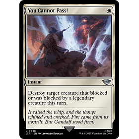 You Cannot Pass! / NM