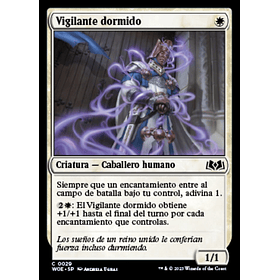 Vigilante dormido / NM