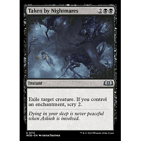 Taken by Nightmares / NM