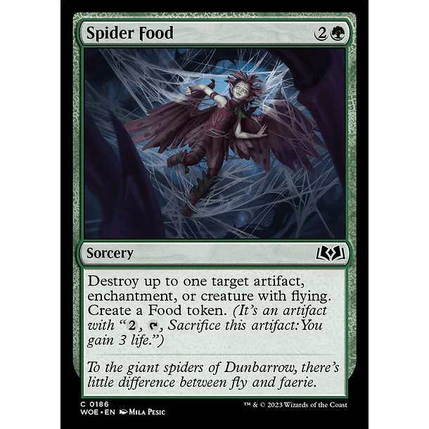 Spider Food / NM