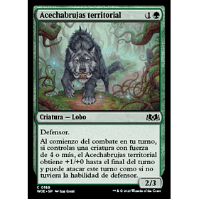 Acechabrujas territorial / NM