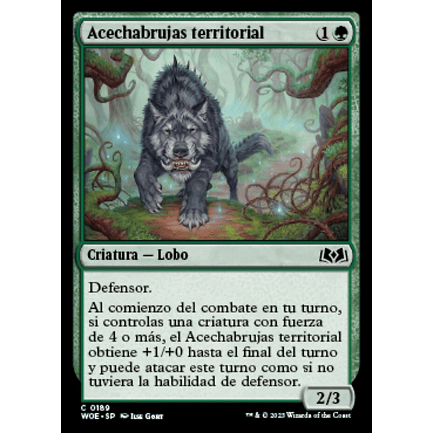 Acechabrujas territorial / NM