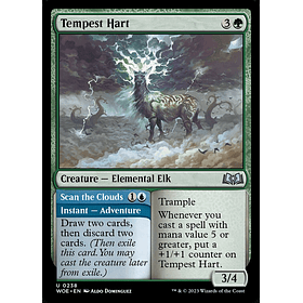 Tempest Hart / NM