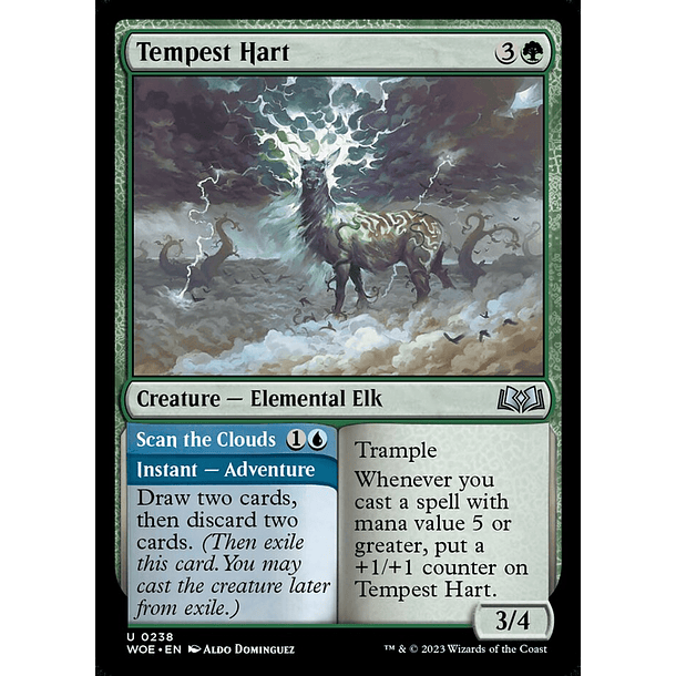 Tempest Hart / NM
