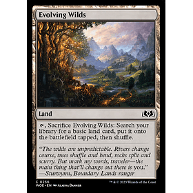 Evolving Wilds FOIL / NM
