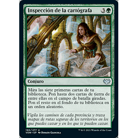 Inspección de la cartógrafa / NM