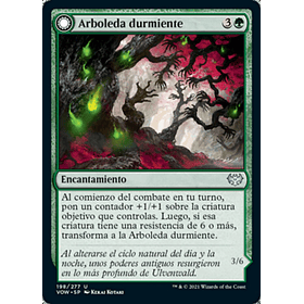 Arboleda durmiente / NM