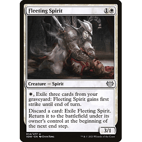 Fleeting Spirit / NM