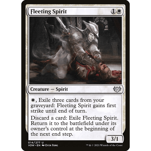Fleeting Spirit / NM